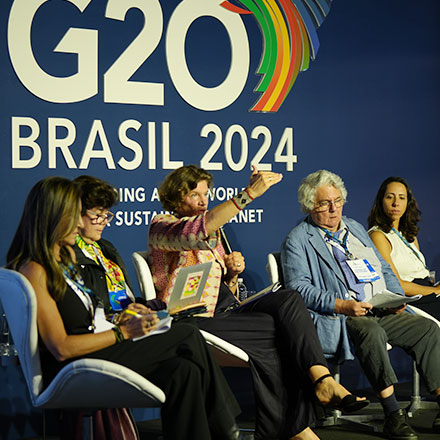 Construindo Capacidades Estatais Para O Desenvolvimento Econômico